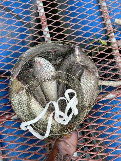 giao đủ sản phẩm giao đủ phụ kiện cần câu khá là chắc chắn đóng gói có hơi ẩu trúc như không sao