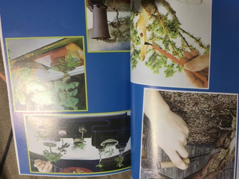 Sách có nhiều ảnh đẹp về cây bonsai! Nội dung ngắn gọn dễ hiểu!