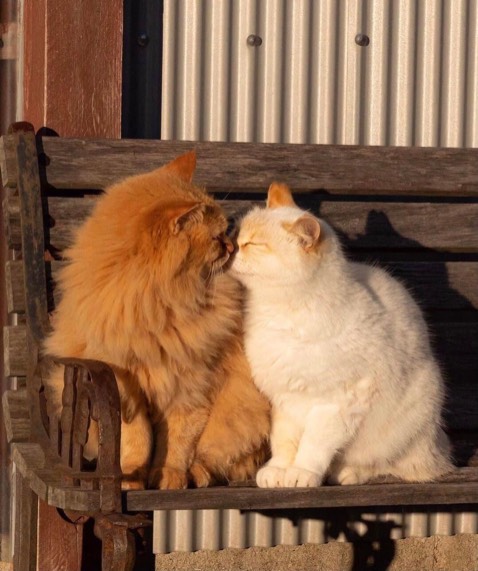 Mực đều nét đẹp bút deli thì k chê được rùi bút bi còn không bị nhoè khi dính nước jjjjjjj