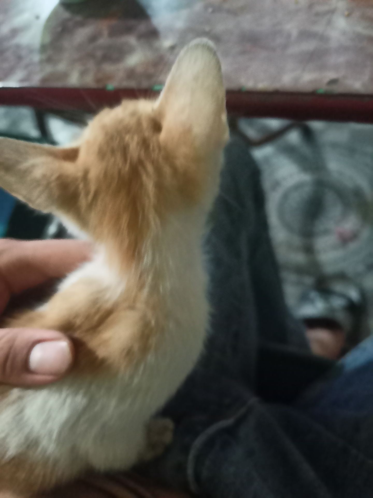 tóc rụng nhiều hơn, mk thấy lo lắng qa