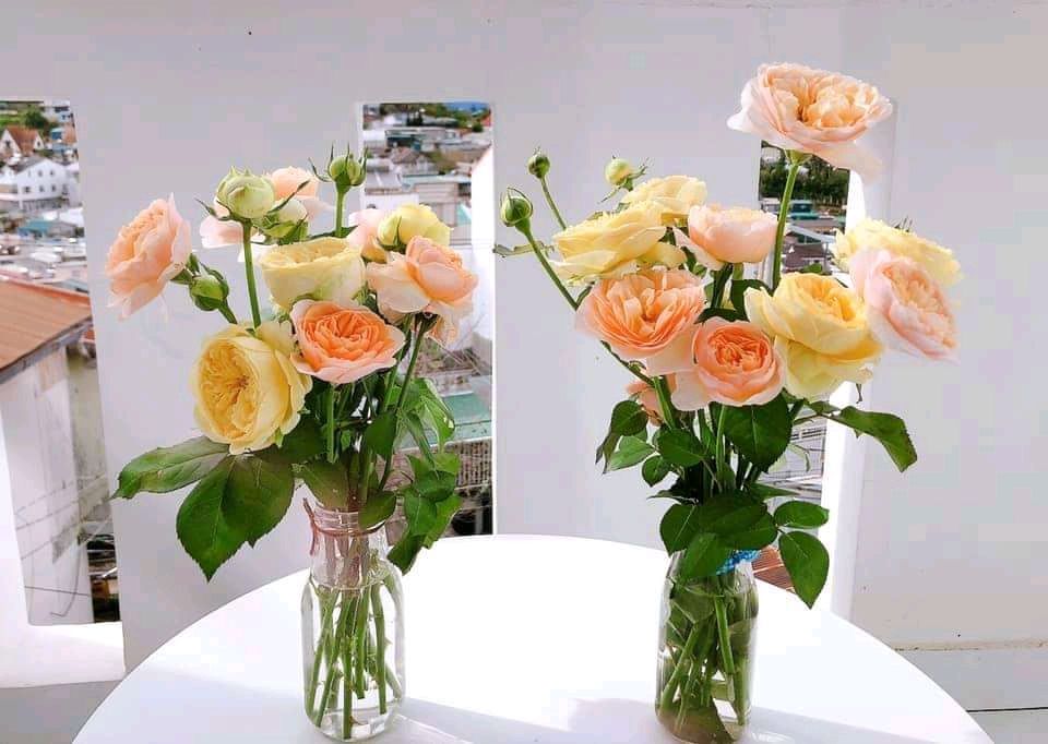 Nhân viên chăm sóc khách hàng tên Vi chả nắm được thông tin gì về đơn hàng của khách.Theo lịch 13/11 giao mà nói 7_10 ngày nữa giao.Tiki nên đuổi việc mấy nhân viên gà mờ này.Mua hàng Tiki đã lâu chưa lần nào tức như lần này