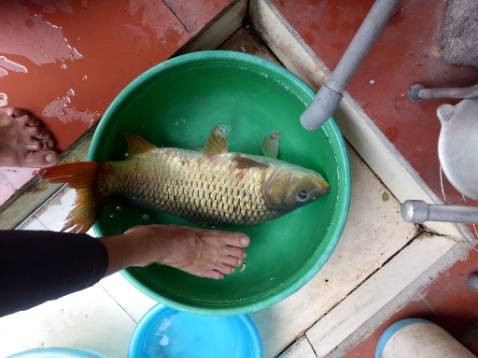Hàng rất tốt giao khá hàng rất nhanh mới đặt 2 ngày mà đã về r Hàng rất tốt giao khá hàng rất nhanh mới đặt 2 ngày mà đã về r