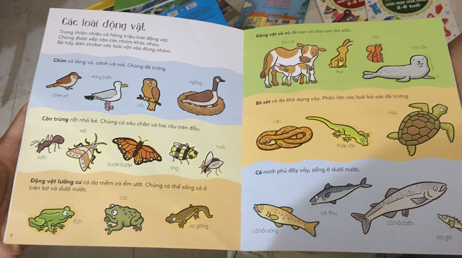 Sách rất hay. Sách dày, hình bóc dán đẹp, có thông tin chú giải đầy đủ. Các bài tập, câu hỏi thú vị, hình ảnh đẹp gây sự thích thú cho bé, không như nhiều sách bóc dán khác chỉ có mỗi hình dán, ko hề có thông tin gì khác.
Sách rất phù hợp với lứa tuổi 2.5 đến 7. Nếu có 6 sao mình cũng đánh.
