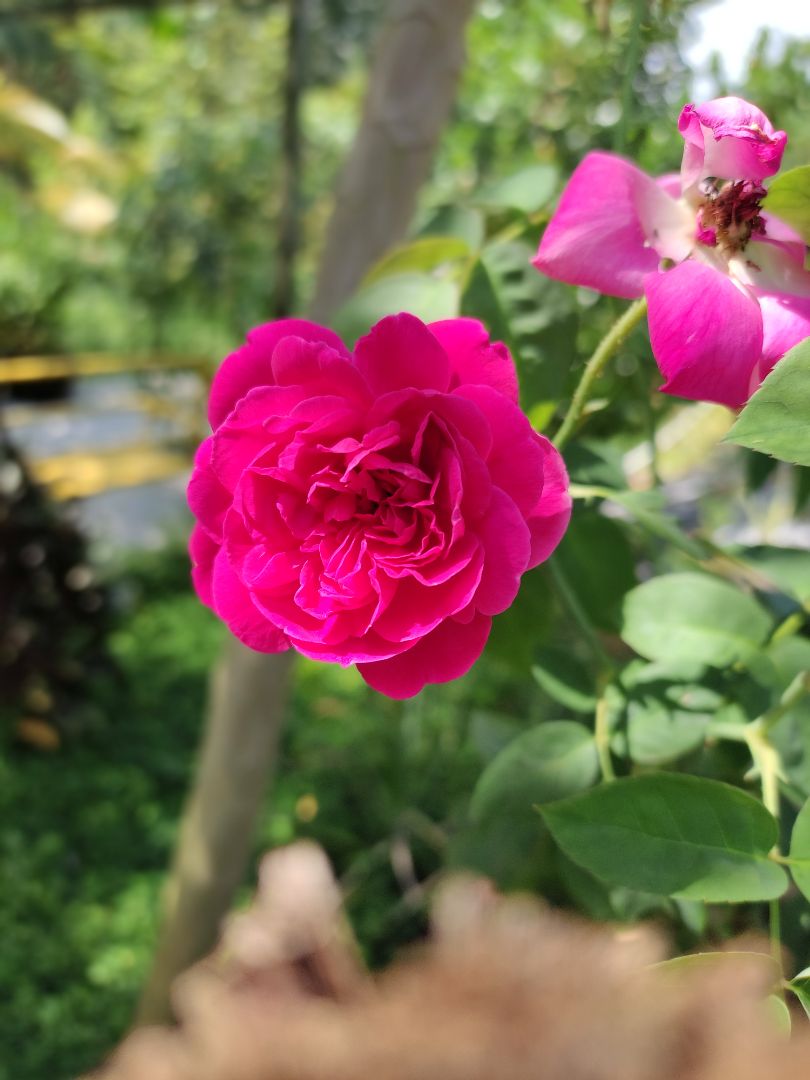 chất lượng tốt, giá rẻ chất lượng tốt, giá rẻ