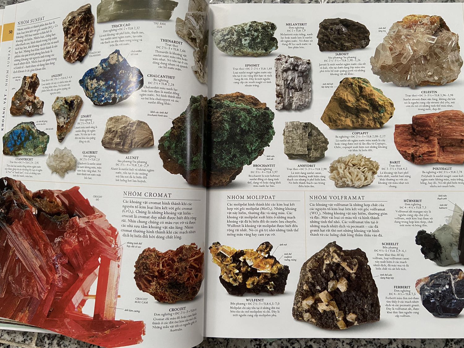 Sách đóng gói kĩ, có lớp bìa bên ngoài nên sách bên trong không tì vết. 
Mình thấy bố cục sách rõ ràng, dễ hiểu, nội dung chi tiết, đặc biệt giấy dày và màu sắc cực đẹp, rất đáng tiền.