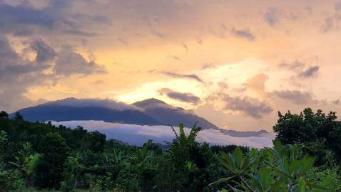 Đẹp, chắc chắn, ủng hộ Shop 👍