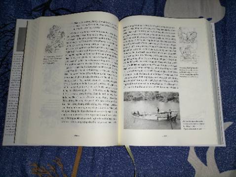 Sách đẹp, bìa cứng nên sách cầm rất chắc tay ổn, nội dung ổn, tranh đẹp vừa có vẽ tay vừa có hình thực tế, đánh giá rất cao nha