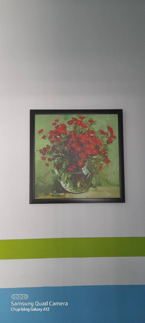 Giao nhanh 
Đóng gói chắc chắn
Hình như mẫu