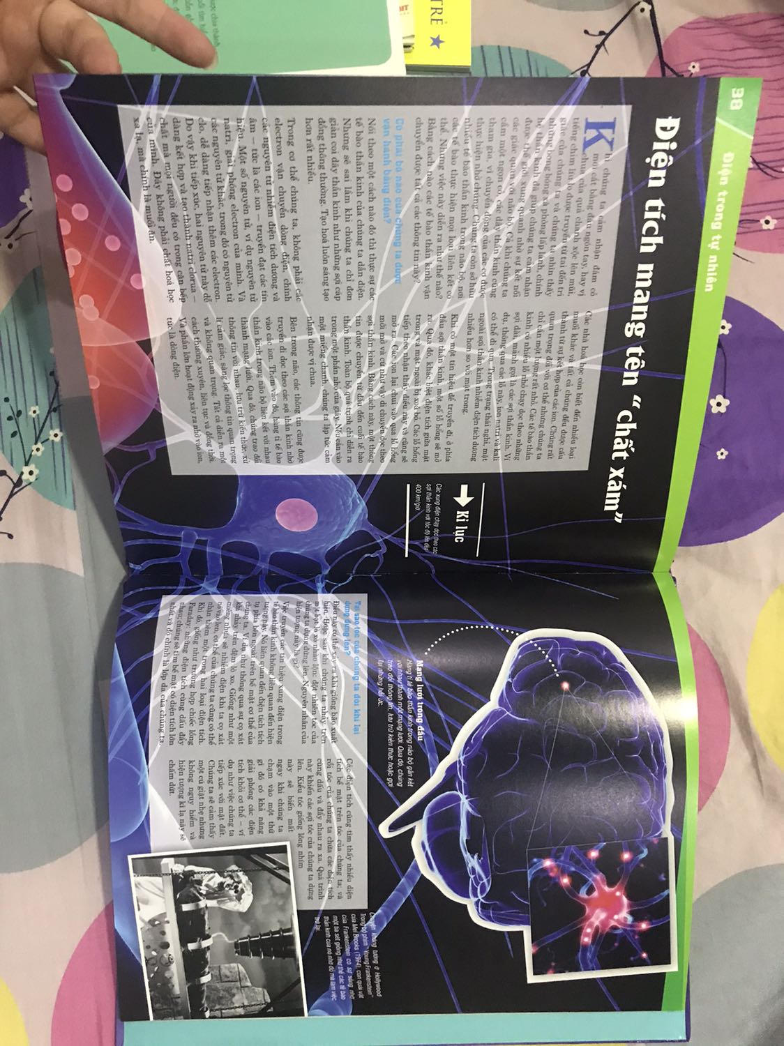 Sách bìa cứng, bên trong là giấy màu bóng, xịn nha. Kiến thức được viết rõ ràng, hình đẹp dễ cho bé đọc hiểu. Giao đủ & siêu nhanh. Mới đặt hôm nay là ngày mai giao tới liền. Fahasa quá đỉnh!