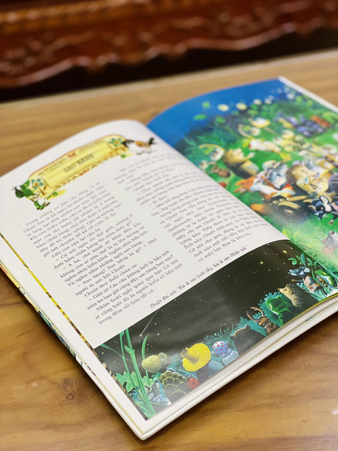 - Lần thứ hai mình nhận sách trực tiếp từ nhà bán Cá chép bookstore và thực sự hài lòng về dịch vụ đóng gói, giao hàng. 
- Sách được bao bọc cẩn thận, có lớp chống sốc và màng co phẳng phiu, có đầy đủ hoá đơn. Sách bìa cứng, khổ to, in màu toàn bộ, hình ảnh minh hoạ sinh động, đáng yêu. Đơn được tặng kèm một bookmark như ảnh. 
- Chất lượng giấy bóng khá tốt. Tuy nhiên trang đầu & trang cuối (dán dính vào bìa sách) có những chỗ dán keo chưa được thẩm mỹ lắm.