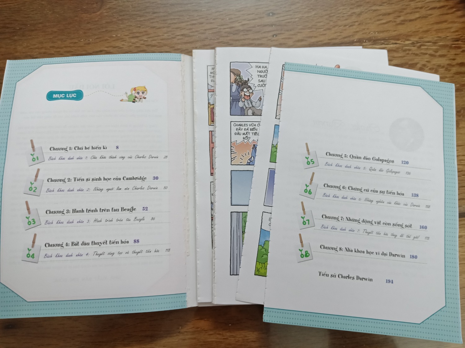 Quá tệ, tôi chưa bao giờ nhận được 1 quyển sách nào mà gáy sách bong hết ra, các trang sách thì rời ra khỏi bìa. Bìa sách thì cũ lem nhem. Gáy sách bị bong hết