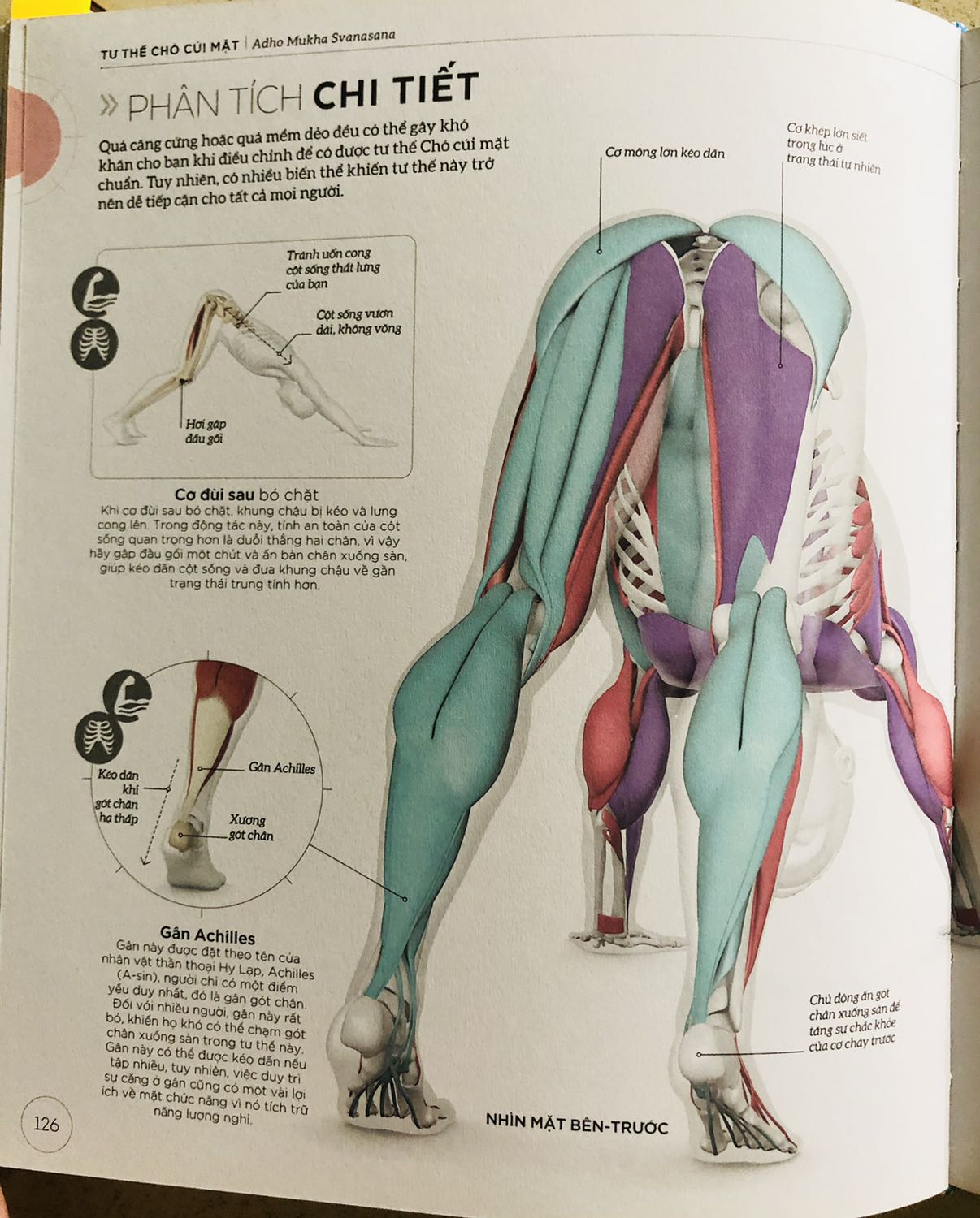 - Sách mô tả chi tiết các tư thế yoga. Mỗi tư thế sẽ có cơ nào căng, cơ nào siết. Tác động lên xương lên, cơ của mỗi thư thế như thế nào.  
- Ngoài ra còn có những trả lời thắc mắc khi chúng ta thực hành yoga. Những cảnh báo chúng ta cần lưu ý khi luyện tập.