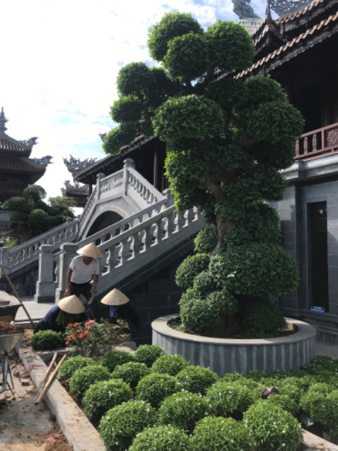 Shop cẩn thận lắm cám ơn shop