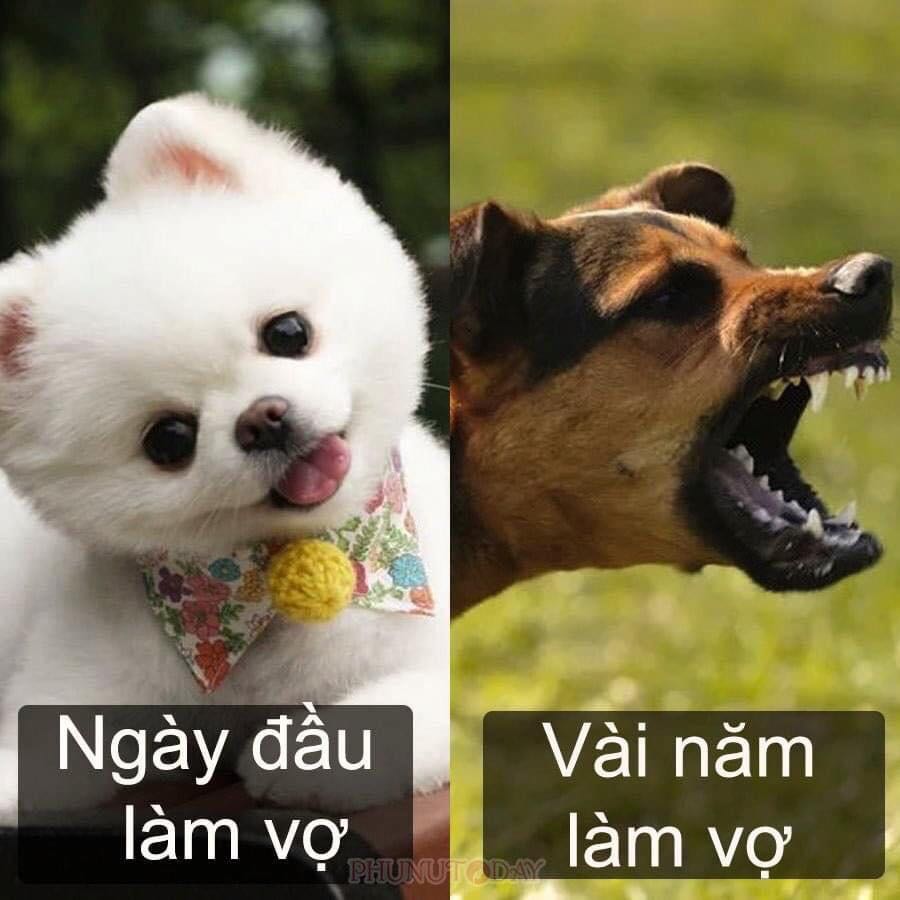 Sản phẩm tốt giao hàng nhanh chất lượng tuyệt vời, nên mua nhé mọi người. Hình ảnh mang tính chất nhận xu