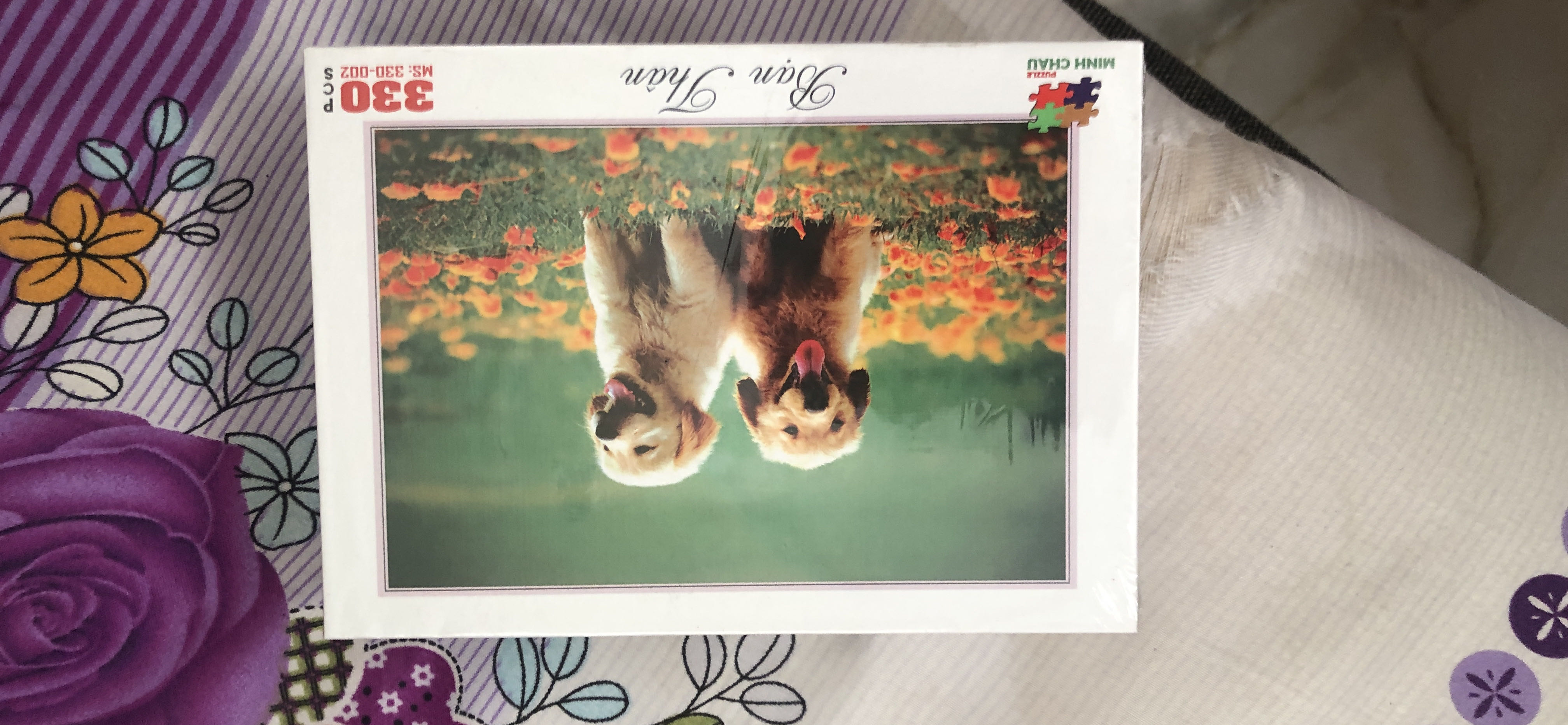 Đúng với hình bán Đúng với hình bán