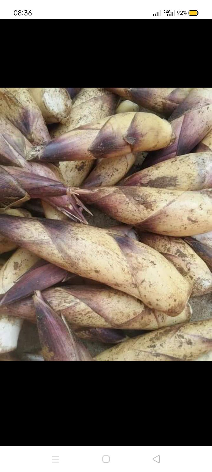 chưa dùng chưa biết được nhưng giao hàng nhanh nhìn sp cũng đẹp mắt, nên mua, sản phẩm chỉ mang tính chất nhận xử