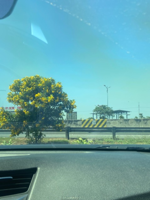 Sản phẩm chất lượng ok, cảm ơn shop, mèo mình rất thích