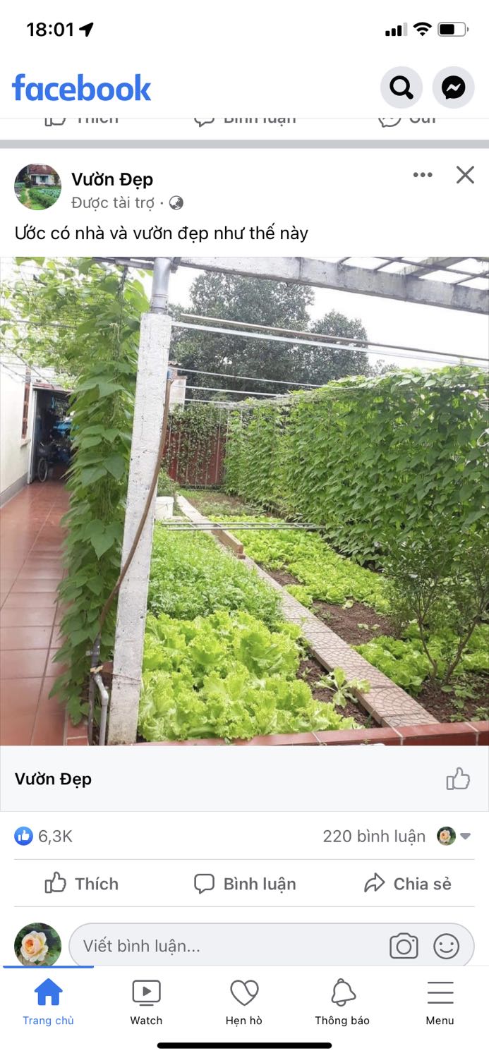 Đóng gói kỹ. Giao nhanh