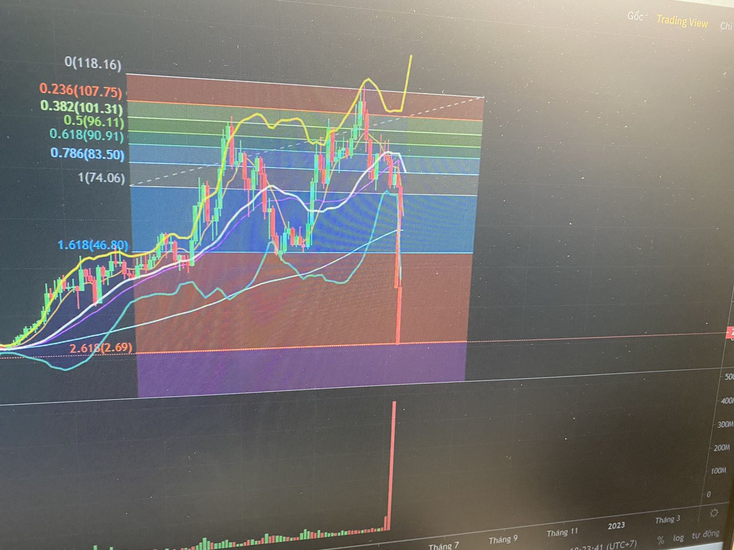 Jjfhjggjjhjkhg em cũng không được thì em mới đi Jjfhjggjjhjkhg em cũng không được thì em mới đi