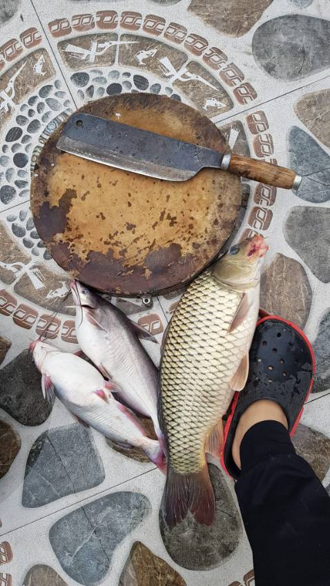 Món hàng rất chi là ok dầy đủ mọi cái nhìn hơi mong manh nhưng chắc kbsao