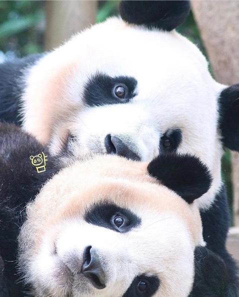 Sách hay, giấy êm tay lắm luôn