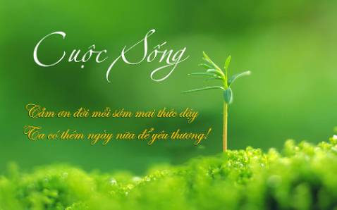 Giao hàng nhanh, nhân viên giao hàng tốt. nội dung sách mới đọc chương đầu thấy dễ đọc