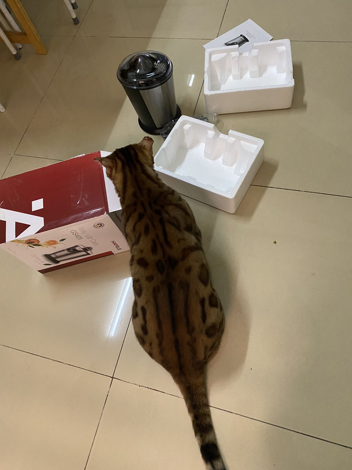 Máy vắt cam 🍊 Hafele công suất mạnh, chạy rất êm, vắt kiệt nước cam 🍊 & bưởi. Nút lấy nước cam có thể bật lên xuống, không cần nghiêng bình để rót nước cam , tiện lợi.