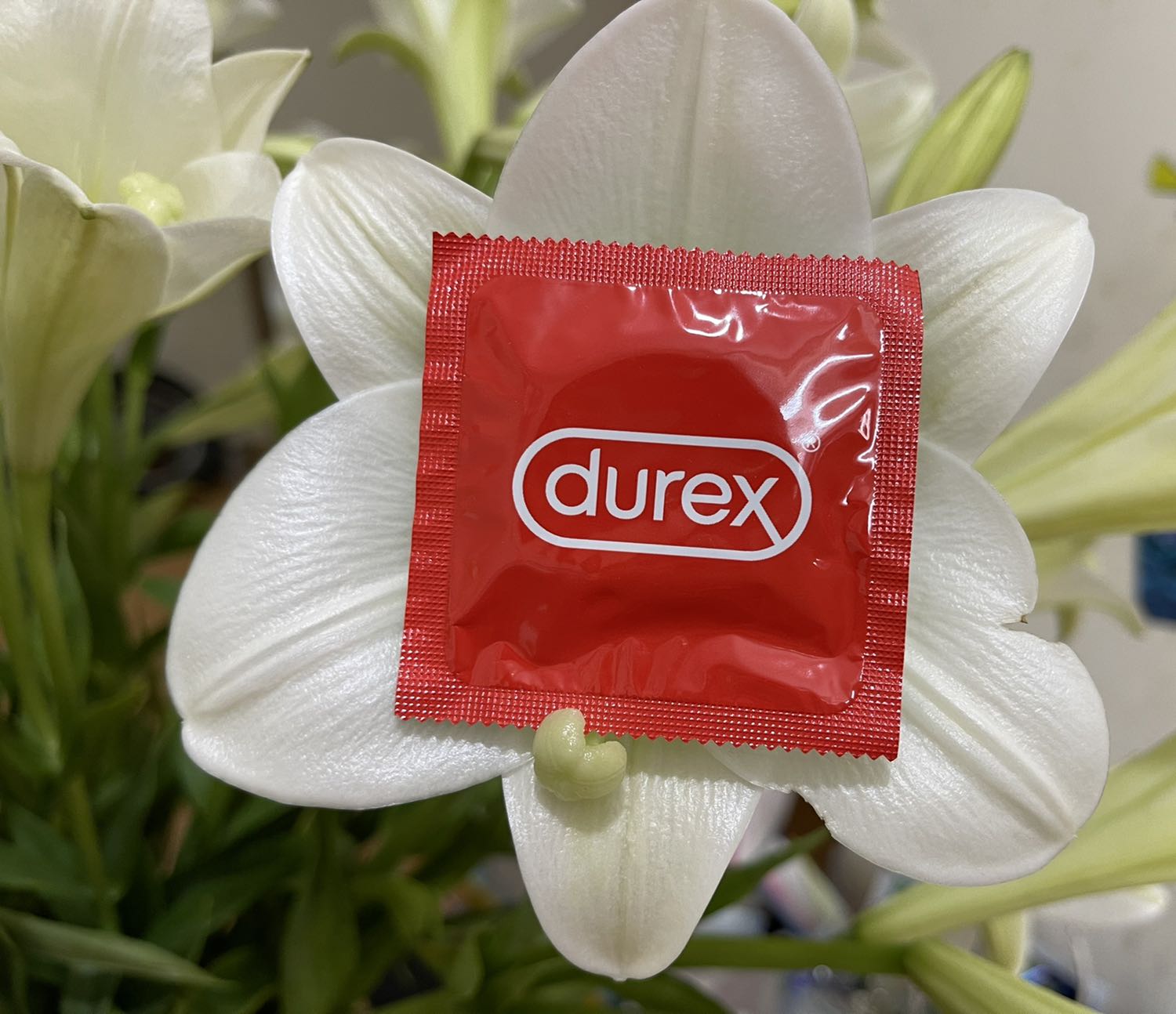 Biết rồi, khổ lắm cứ bắt đánh giá mãi