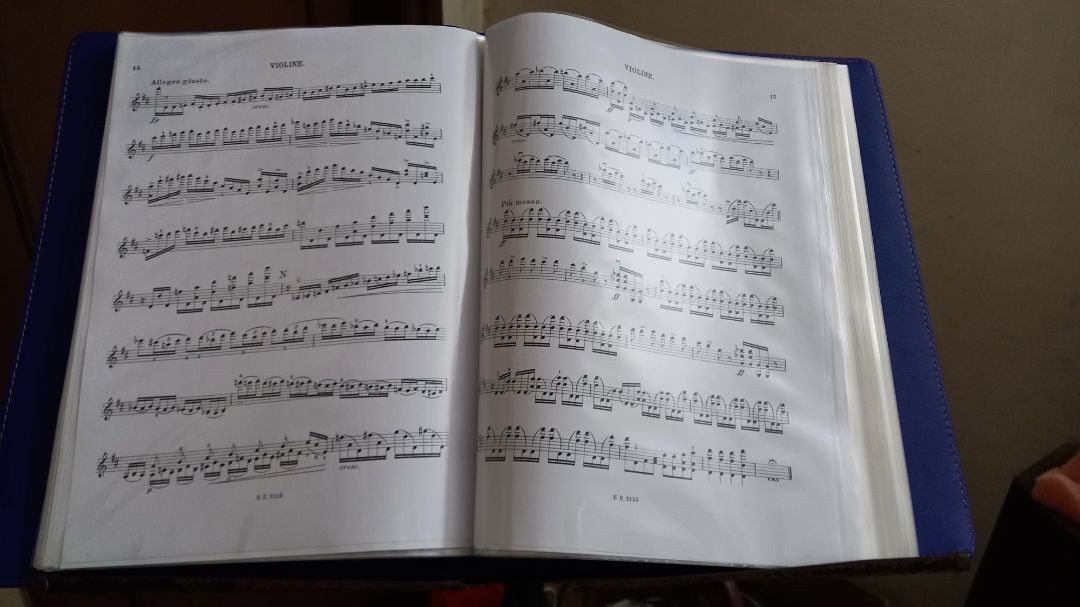 Giao hành nhanh hơn dự kiến, bọc bảo vệ chắc. Sản phẩm dày, đựng nhiều trang  nên khá nặng. Tôi rất hài lòng cả sản phẩm và người giao hàng.