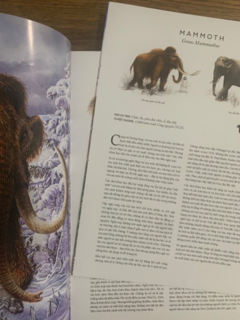 Ruột bị bung ra, có thể bị bung thêm. Đề nghị tiki trading xem lại