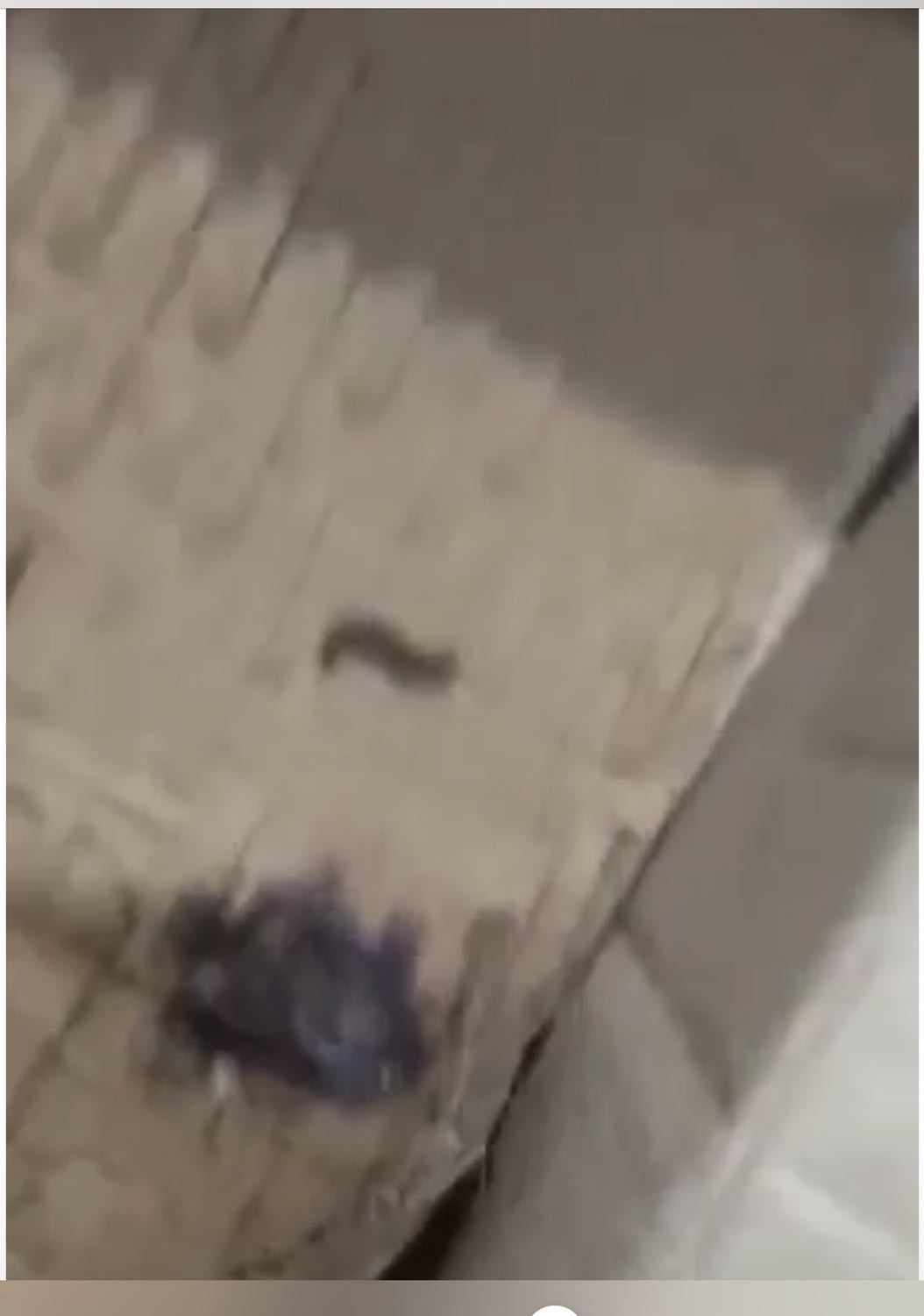 Vận chuyển bị đổ dầu gội Vận chuyển bị đổ dầu gội