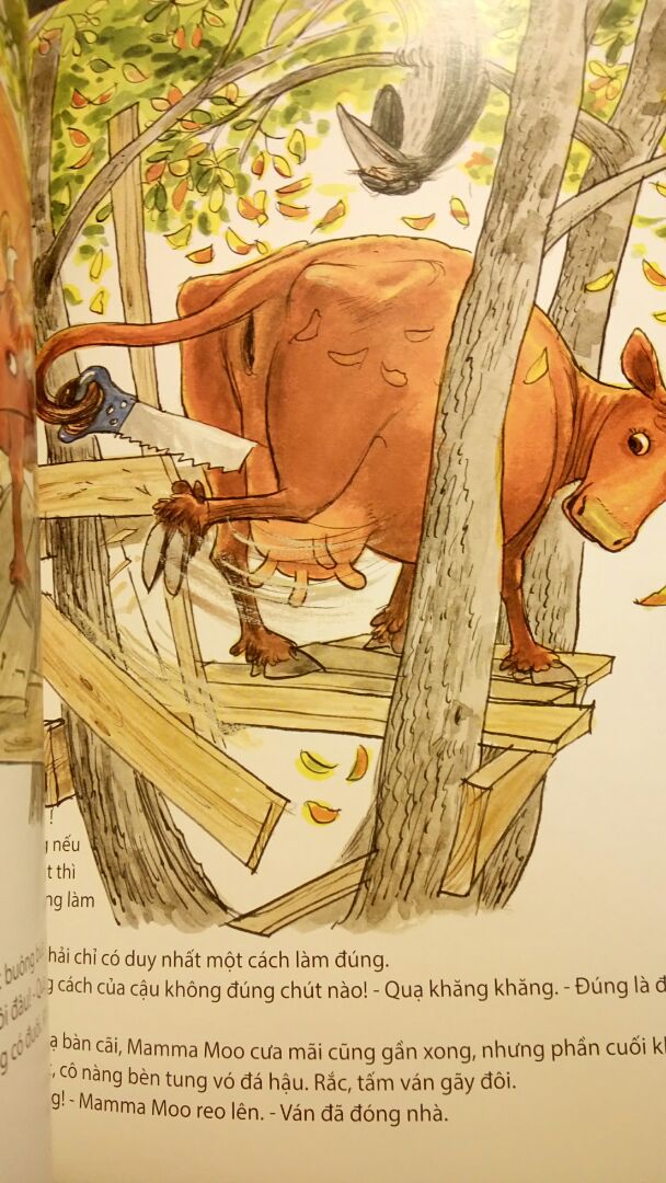 Sách khổ to, được in màu trên giấy bóng, minh họa đẹp