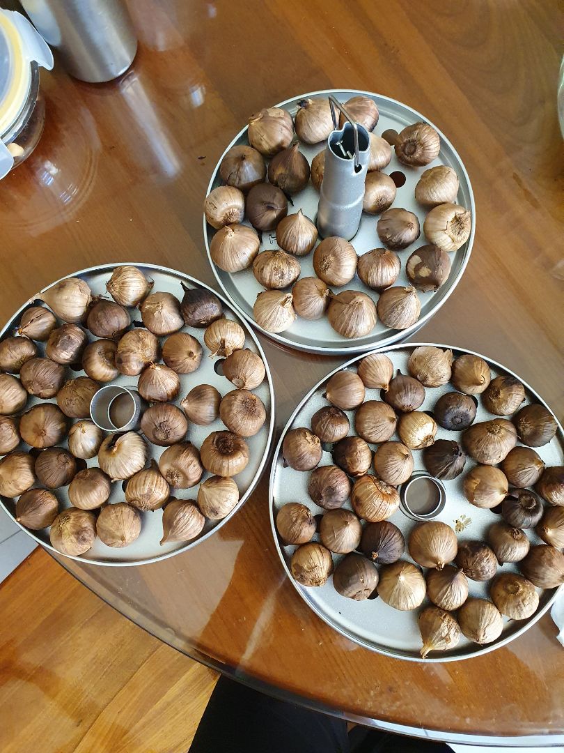 Đợi ra lò mẻ đầu xong mới đánh giá. quá tuyệt vời,  hơn cả mong đợi.  Tỏi thơm ngon, vỏ khô nhưng ruột bên trong dẻo, thơm ngọt