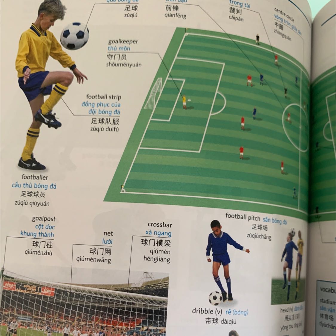 Sách mới giấy bóng đẹp, nội dung hay. 
Hình ảnh màu sắc bắt mắt. Tam ngữ Anh Việt Trung thú vị.
Bọc bookcare chưa chuyên nghiệp lắm vì rách mép 🥹🥹