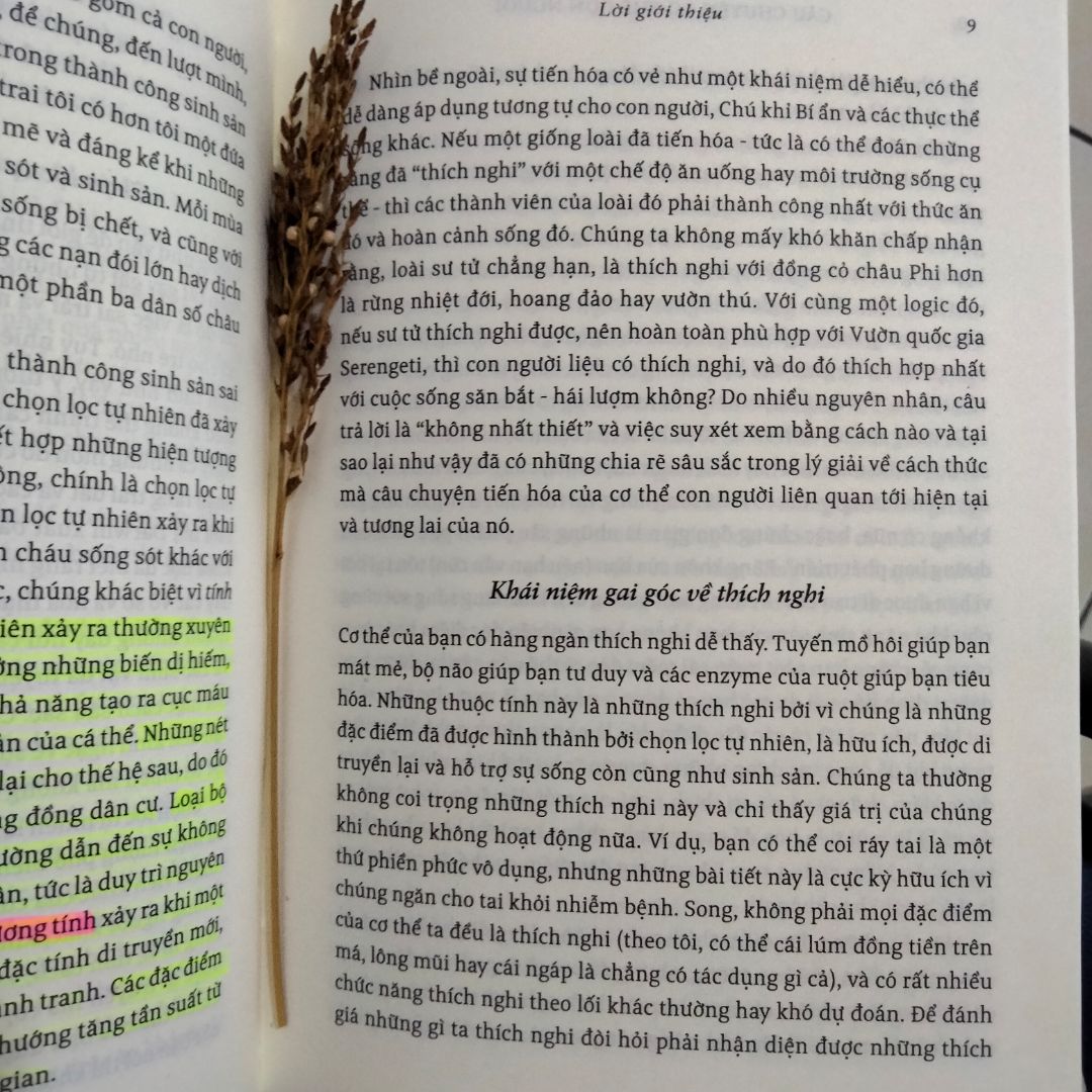 Sách hay, nhiều kiến thức khoa học về sinh học và sự tiến hoá của cơ thể con người từ thời vượn người, từ những bằng chứng cổ xưa đó tác giả nêu ra mối liên hệ giữa quá trình chọn lọc tự nhiên và cách cơ thể chúng ta thích ứng với môi trường, hoặc tạo ra bệnh tật trong một môi trường hiện đại. Mình thấy rất đáng để đọc. Về phần sách do bìa màu trắng nên có chút bẩn, một số vết bẩn có thể dùng gôm gôm đc.