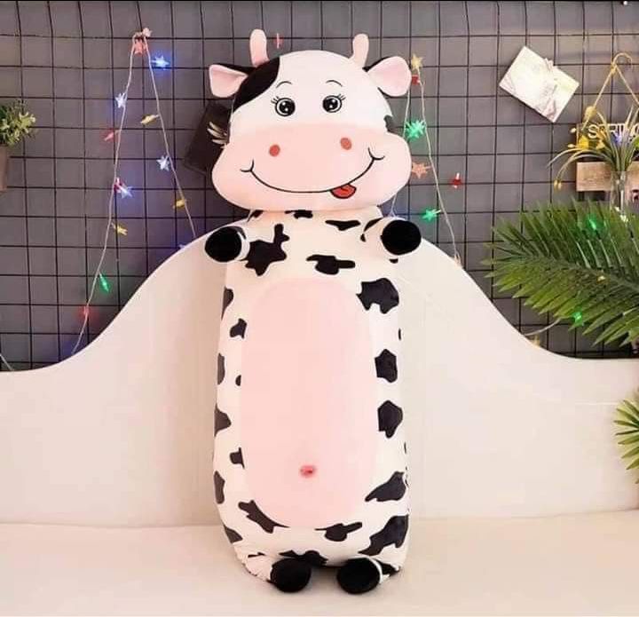 sản phẩm hài lòng đáng 5 sao