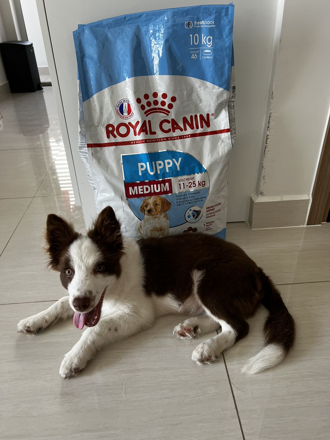 Bé nhà mình rất thích hạt này luôn, mùi thơm hấp dẫn