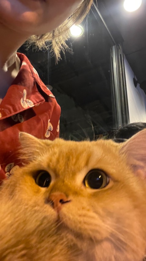 Mình hay mua thực phẩm chức năng của shop, Tiki giao hàng nhanh, HSD còn xa 😍, ủng hộ shop