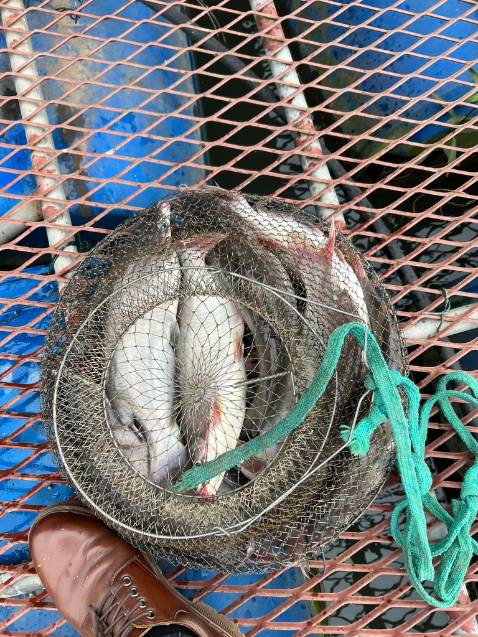 Shop giao hàng siêu nhanhhhhh 👍🏽 chưa đến 2 ngày là có hàng rồi