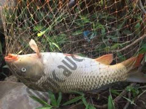 Đẹp nhà mpji ngueoif giá cũng rẻ nữa nên mua nha gdiwos Đẹp nhà mpji ngueoif giá cũng rẻ nữa nên mua nha gdiwos