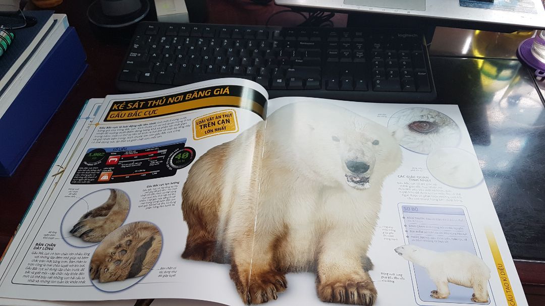 Sách đẹp ! Nội dung phong phú ! 
Giao hàng trước thời hạn. Hi vọng giá down chút nữa với sản phẩm sách khác , sẽ mua bổ sung .