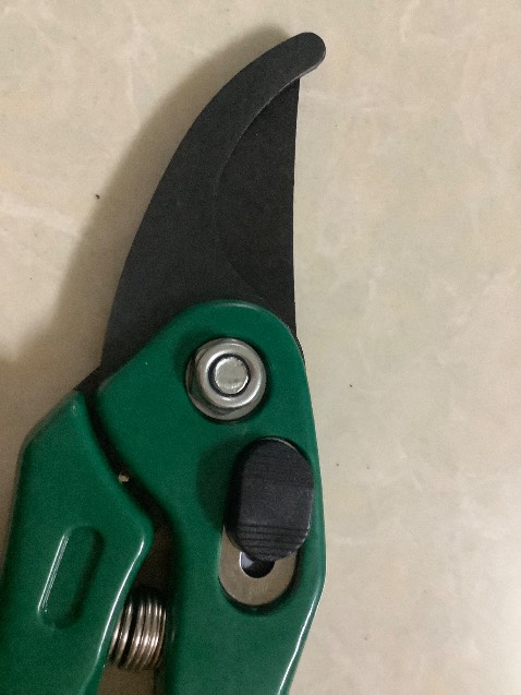 Lưỡi kéo bằng thép chống sét rỉ, cắt  cành khá mượt. Vì lưỡi kéo chỉ dài 18.5cm nên chủ yếu cắt cành vừa phải với cành nhỏ. Kéo có nút để khoá. Màu sắc cũng đẹp.