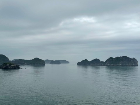 Chất lượng oke , giao hàng nhanh gọn tiện lợi