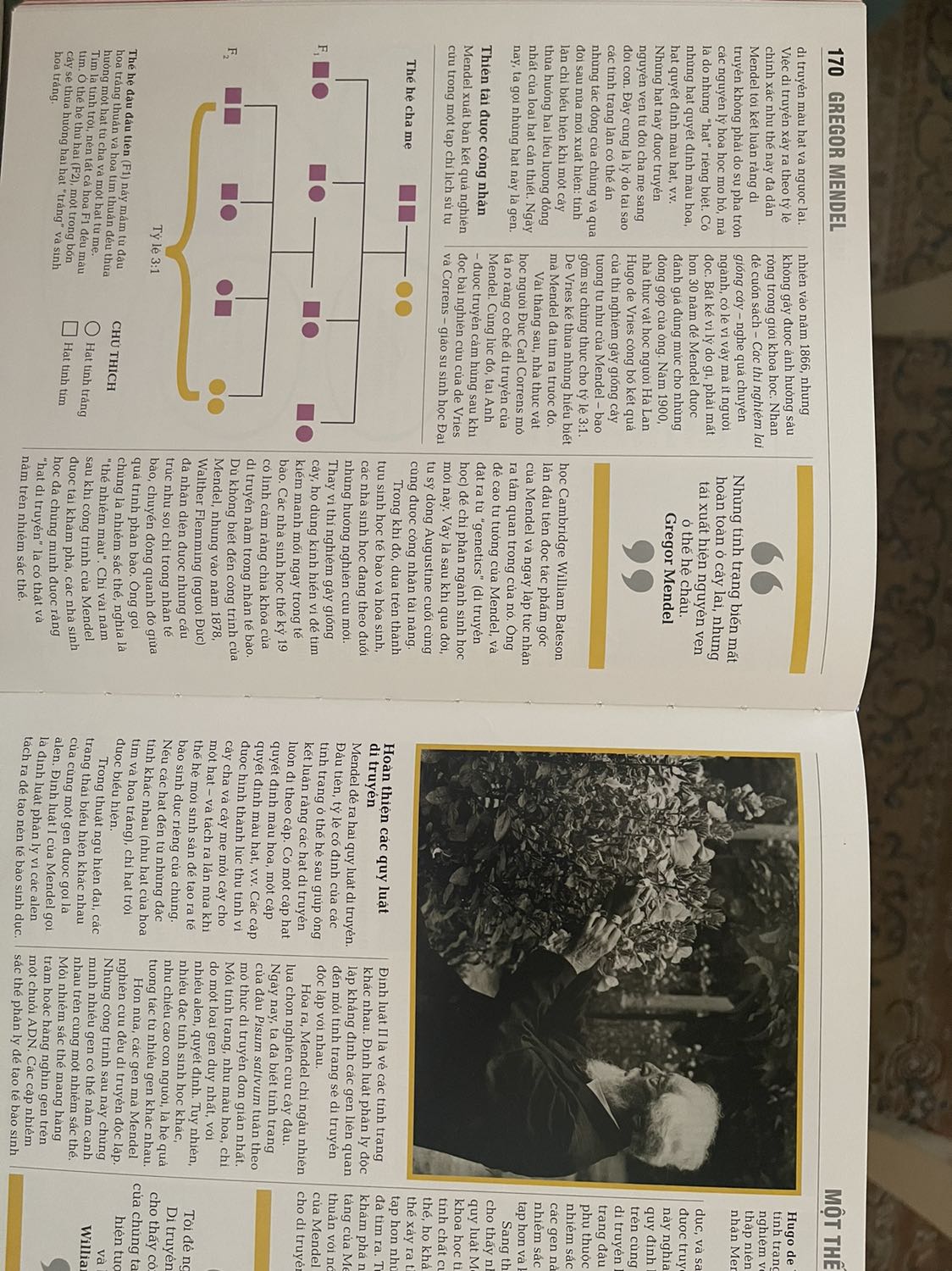 Sách trình bày đẹp, nhiều kiếm thức hay, bổ ích, giấy đẹp