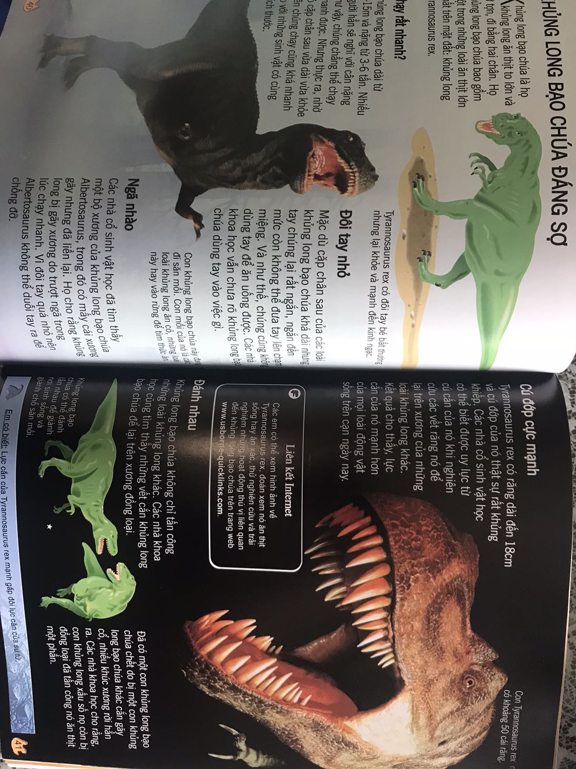 Sách có nhiều kiến thức, nhiều ảnh minh hoạ. Hoàn toàn phù hợp cho bé. Trang sách dày, màu đẹp. Mình mua lúc giá dưới 40.000 nên cảm thấy khá hời so với 1 cuốn sách như vậy. 

Dù từ ngữ đơn giản, dễ hiểu cho bé nhưng nếu có phụ huynh bên cạnh giải thích thì bé sẽ biết được nhiều hơn.