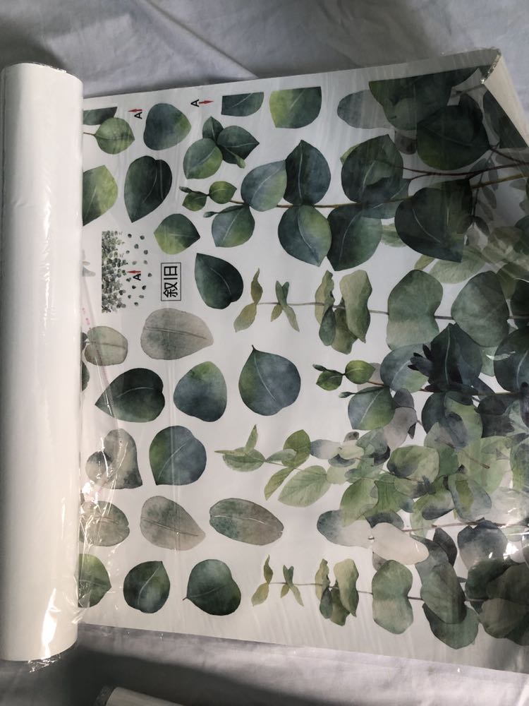 Hình hơi nhỏ, màu sắc nhạt nên phải dán tường trắng thì mới hợp