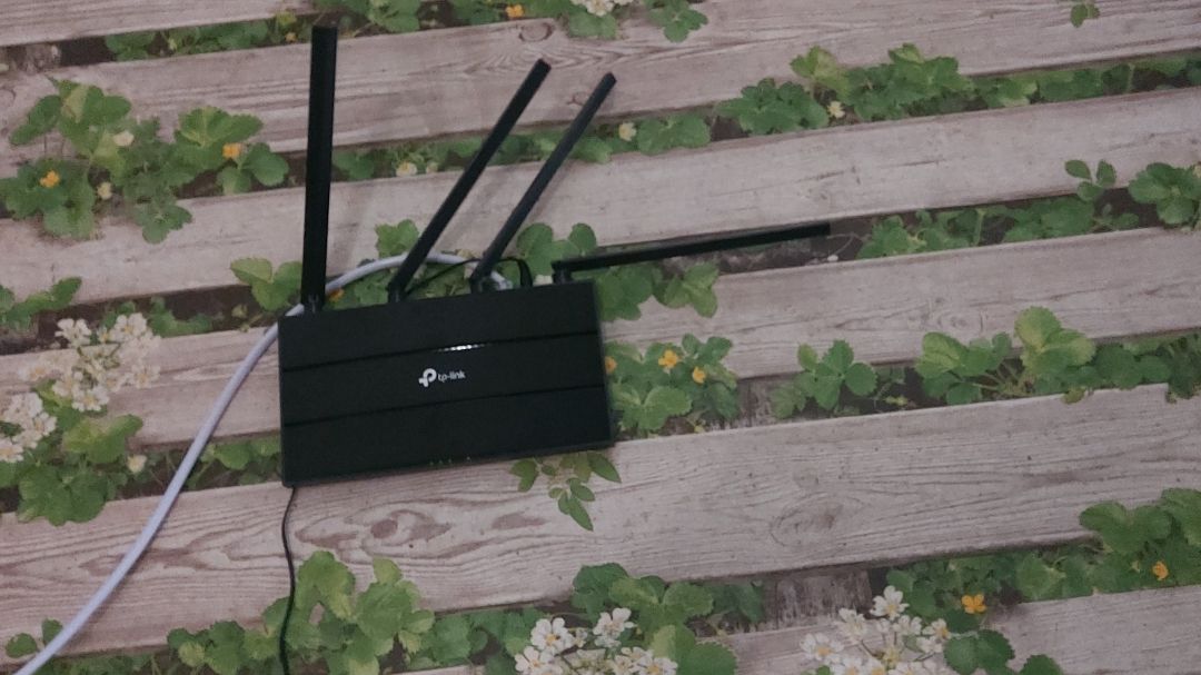 Mạnh, dễ set up, đẹp và dễ sài nữa. Shop giao hàng nhanh mặc dù là CN. Shop phản hồi cũng tích cực nên cho 5*