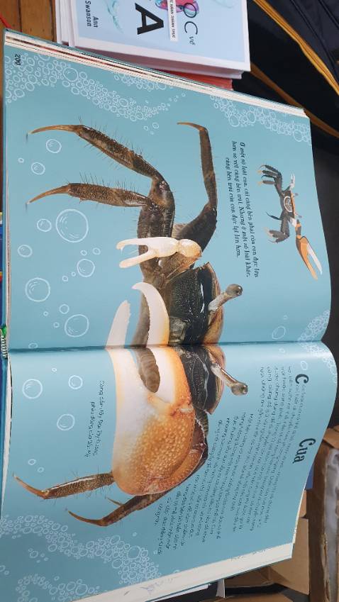 Sách chất lượng, bìa cứng rất chắc chắn, hình ảnh đẹp, giấy in láng mịn. 
Chỉ tiếc là nội dung hơi sơ sài, quá đơn điệu.