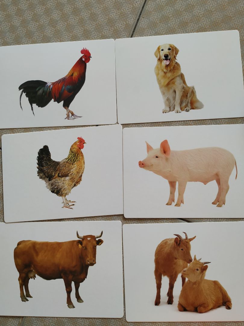 giấy đẹp, chữ và hình ảnh rõ ràng giấy đẹp, chữ và hình ảnh rõ ràng