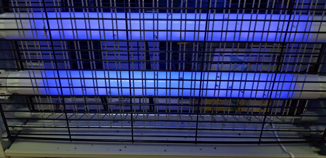 Sản phẩm rất tốt nếu các bạn biết cách đặt đúng chỗ nhe. Mình đã di dời đèn này ở 3 vị trí và rút ra các kết luận như sau:

1. Đặt ở tầm thấp (ngang người hoặc dưới đất), muỗi k bay tầng quá cao.
2. Đặt ở nơi hơi ẩm thấp, tối (gần WC là 1 ví dụ)
3. Không để vật cản gì trc đèn để muỗi dễ dàng "dính bẫy" (Trc đó mình sợ đèn sáng khó ngủ mình để đằng sau cây quạt để che bớt sáng & thấy không bắt đc nhiều "em").Sau mình thấy nếu để gần sát đất không ngang tầm mắt ngủ thì ánh sáng đèn rất dịu và tăng hiệu quả lên thấy rõ.

Chúc mọi người sử dụng sản phẩm như ý nhé.